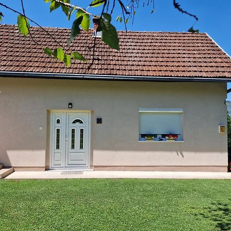 Kuca Za Odmor Dm Villa Bajina Basta Bagian luar foto