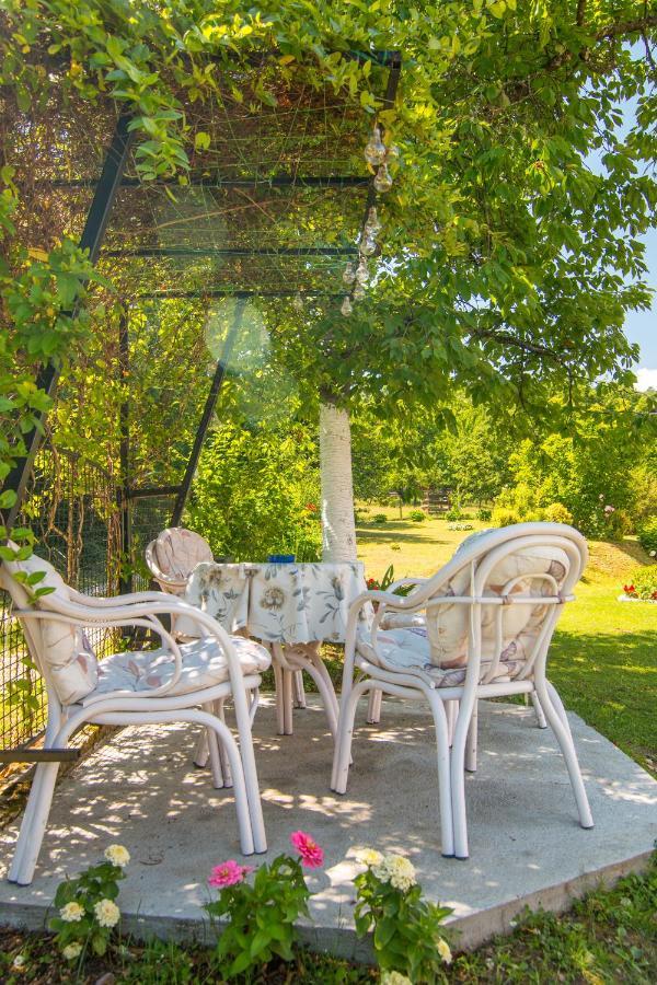 Kuca Za Odmor Dm Villa Bajina Basta Bagian luar foto
