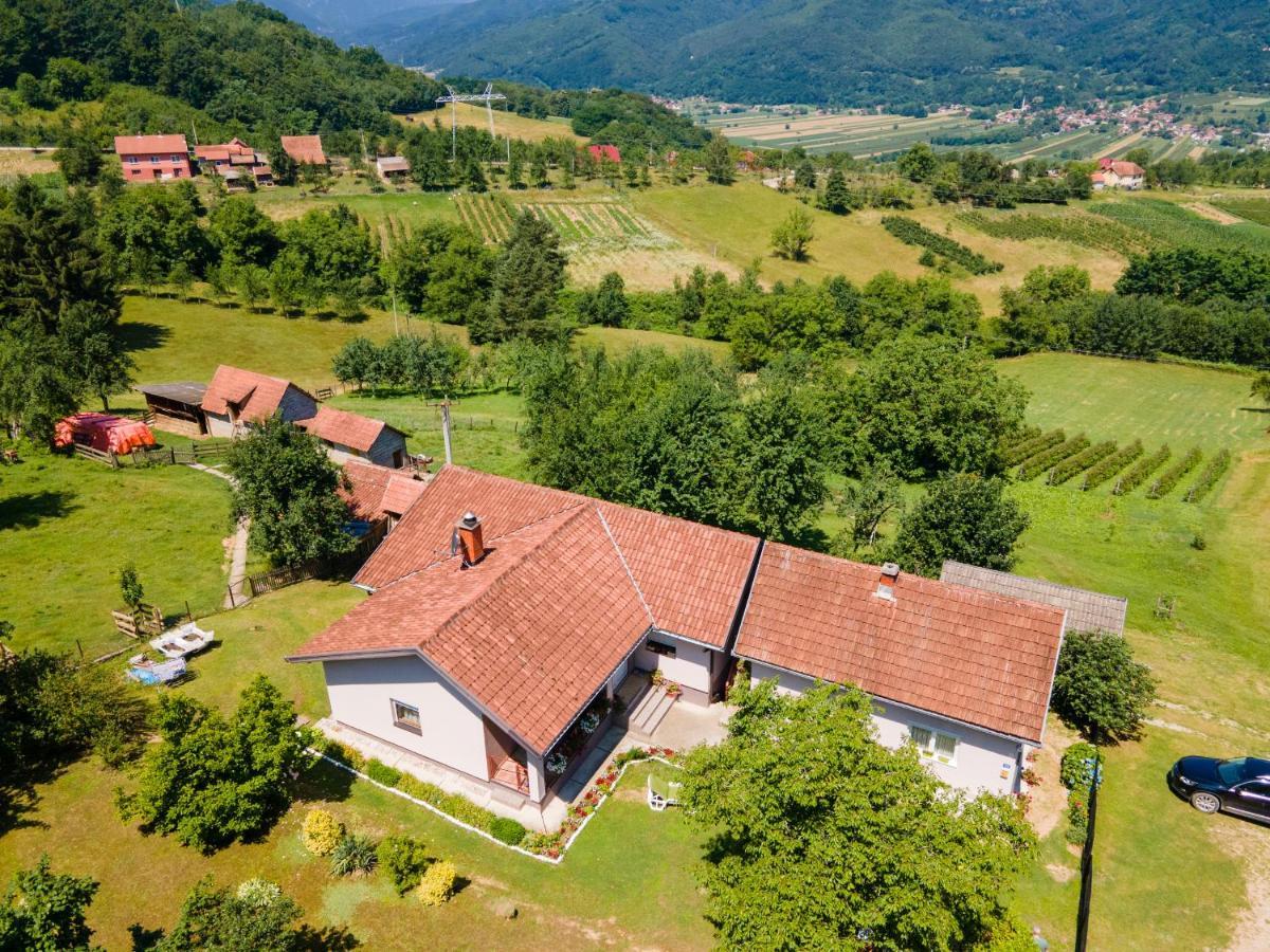Kuca Za Odmor Dm Villa Bajina Basta Bagian luar foto